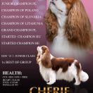 CHERIE Canis Satelles FCI