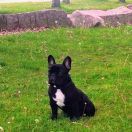 	HUGO GONZALO ODILO FRANCUSKI SLONECZKA