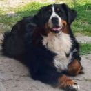 Jula Inkaskie Wzgórza 