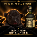 TRD IMPERIA DIPLOMATICO