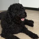 ARIA z Warowni Starego Morza