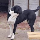 DUM DUM HISTORY SOUL