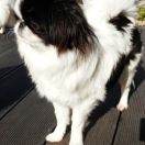 FEDERICA BALTIC SAND