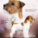 BEST LARY OF THE BEST Linea Luna