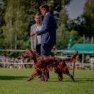 Fire of Freedom Dragonborn HeMan