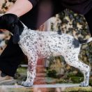 Floryda Z Magicznej Kniei