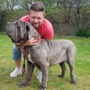 Francesco Maestral Kennel Z Montenegro 