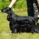 GAME OF THRONES MEERA Renmils Dream