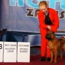 Happy Love Pure Life Candy Sugar Dog