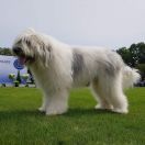 HAPPY TO BE BACK Collis Amores