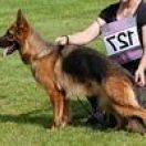 HMERIDA von Klobenwalde