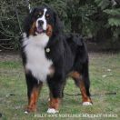 HOLLY HOPE NEKIELSKIE MOCZARY