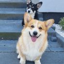 I WAS BORN TO LOVE YOU Dellbenq