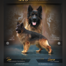 IVO Sfora z Zakrzewa