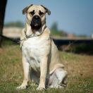 Jackpot Podium KAPITAN NEMO