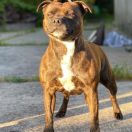 Jakard Wejherstaff BORN TO BE LOVED