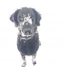 KARNAWAŁOWA ISKIERKA z BasiSfory