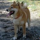 Khakufu Akemi Jaqueline