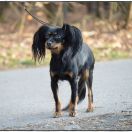 Kim Kardashian z Kuzikolandii