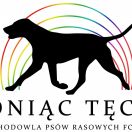 KIRA Z Sokołowskiej Ziemi