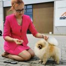 Ch.Pl. LEVEL Kontrakt PL 