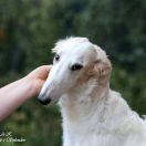 LORD BYRON Impuls i Splendor