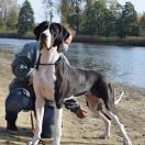 MIGOTKA Czar Olbrzyma 