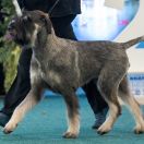 Mir- Jan's Galactic Empire