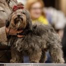 Mł. Ch. Pl ; MŁ Zw. Pomorza 2022; Ch Pl INA Juriwowe Pionki