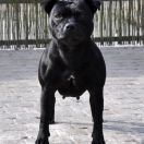 Monday Morning Z Jorwik