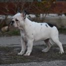 Navon Of My Sweet Moments