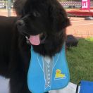 Negra - Tylko mnie kochaj - VivaZabajka