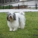 OSTROBOT Futrzak Podlaski