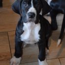 PANORAMIKS Czar Olbrzyma