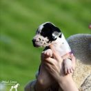 PEGGY SUE Athel Loren