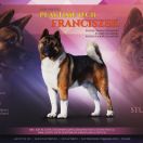 PlayTime (FCI) FRAŃCISZEK