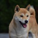 RITA WIelkie Szczęście