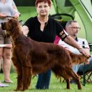 BAILEY Fiery Love (FCI)