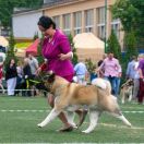 Ruthdales Prada In Red