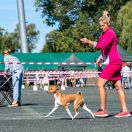 SABBRA CADABRA the Red Ranch