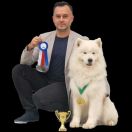 SAMSON MIGHTY STAR Silver from the North FCI 