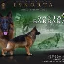 Santa Barbara von Vivaland