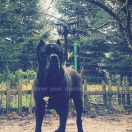 SIMPLY THE BEST Your Destiny FCI