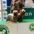 Sundara Spirit Lady Ginewra