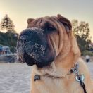 Tarragona Mi Pura Belleza