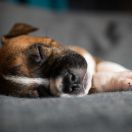 TIMON Because of Crazy Time 