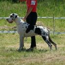 TOŚKA Obrowska Tradycja