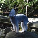 TREVINA Slim Extreme - TULLIA