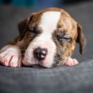 TWEETY Because of Crazy Time 