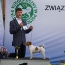 UNBELIEVABLE FAST DE TIMBALAND CH.PL